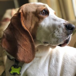 Meet your Posher, Beverly